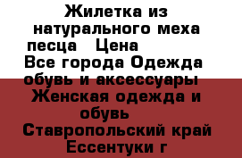 Жилетка из натурального меха песца › Цена ­ 18 000 - Все города Одежда, обувь и аксессуары » Женская одежда и обувь   . Ставропольский край,Ессентуки г.